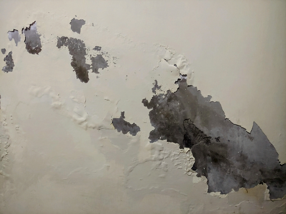 A,Wall,With,Peeling,Paint,And,Visible,Damage,Due,To