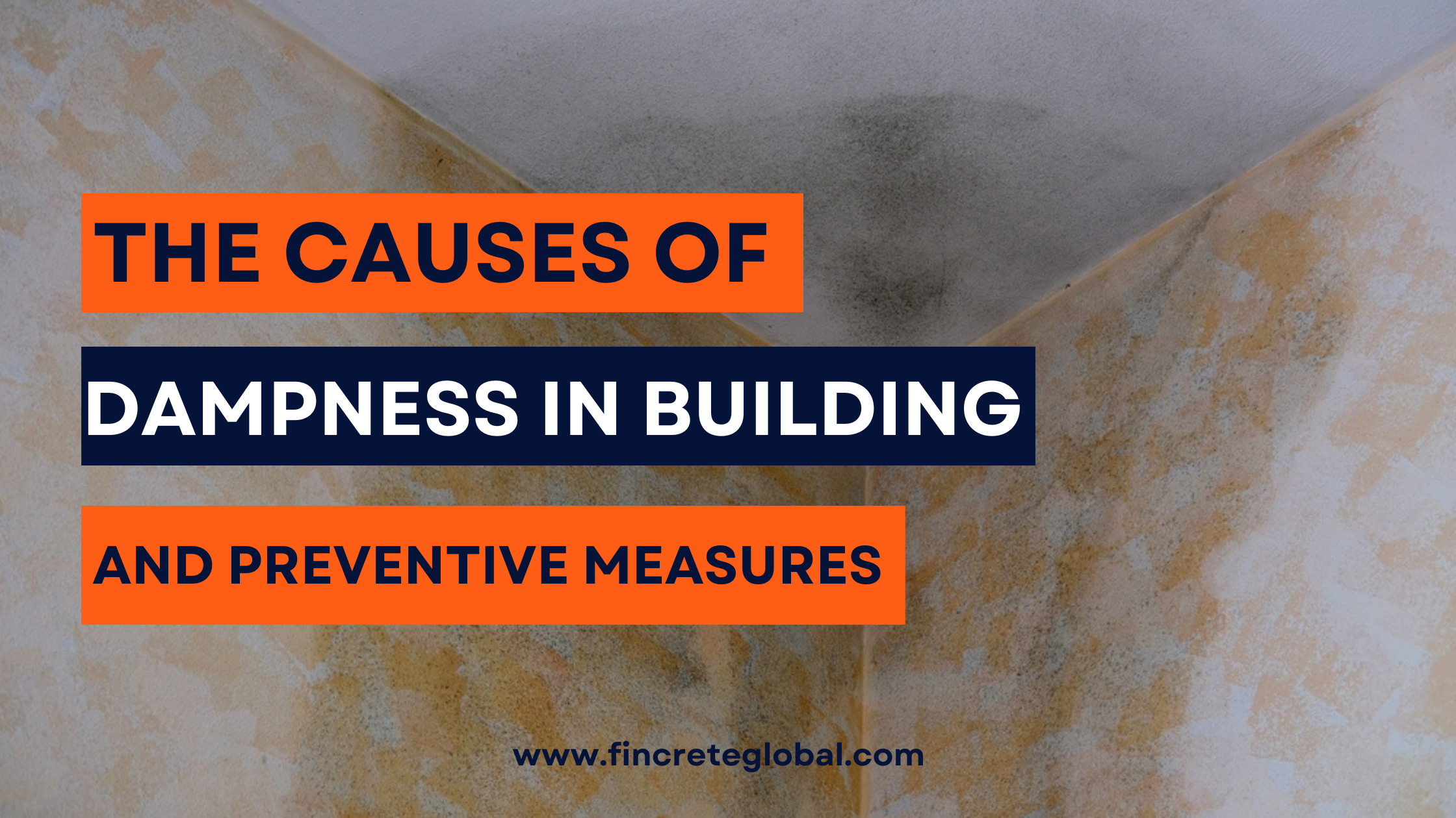 The Causes of Dampness in Building and Preventive Measures