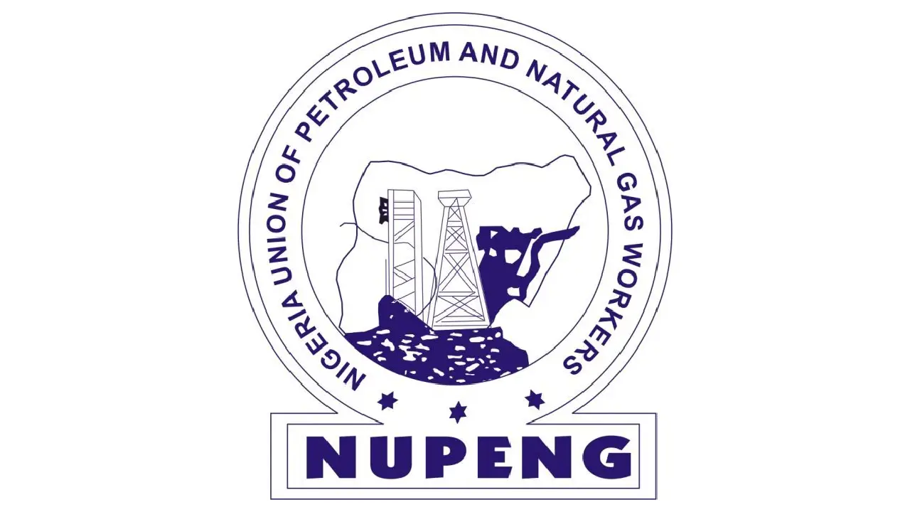 01-nupeng